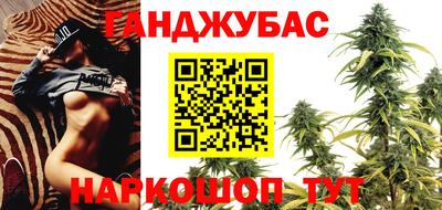гашик Будённовск