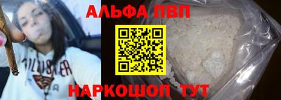 гашик Будённовск