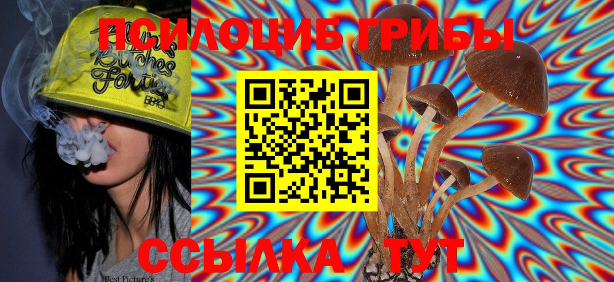 Псилоцибиновые грибы мицелий Кудымкар