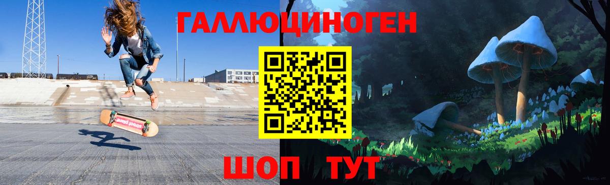 Псилоцибиновые грибы Psilocybe  Вход с VPN  Кудымкар 